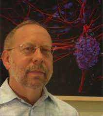 BOARD OF DIRECTORS 2024-2025