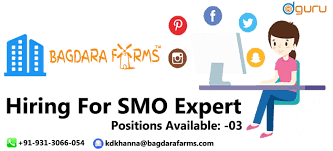 Job Opportunity For The Smo Profile Dm Guru For Is Qualified Trainees Experience Minimum 2 Years In The R Job Job Opportunities Social Media Network