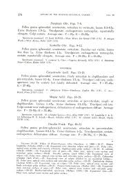 Image result for Dasylepis