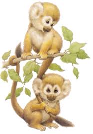 Monkey Monkey Art Cartoon Monkey Cute Animal Drawings