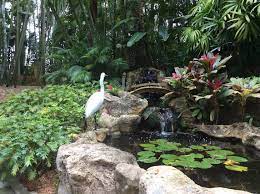 25 Secret Florida Gardens You Probably Didn T Know Existed Florida Botanical Gardens Florida Garden Japanese Garden