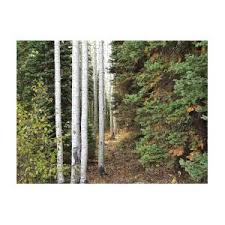 Big Sur River Inn Jigsaw Puzzle by Curtis Boggs