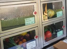 Gironde Distributeur Automatique De F L Bio Reussir Fruits Legumes Fld
