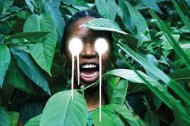 Genussvoll in den Frühling