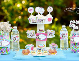 Patchwork owl birthday party supplies set plates napkins cups tableware kit for 16. Owl Birthday Owl Themed Birthday Party Catch My Party