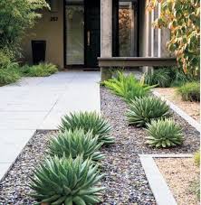 It once decorated apartments of hippies during the 60s and. Top 70 Best Desert Landscaping Ideas Drought Tolerant Plants
