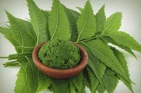 डैंड्रफ का रामबाण इलाज है ये घरेलू नुस्खे - home remedies to get rid the  dandruff-mobile