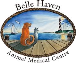 Worell retired her practice at the end of 2011 and the new owner is inexperienced in avian medicine. Homepage Belle Haven Animal Medical Centre