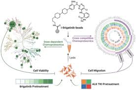Image result for ALK Inhibitor
