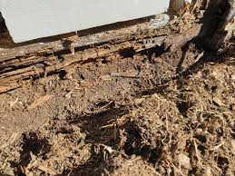 Image result for site:byggahus.se byta syll