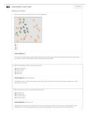 Continuing studies of viruses and their hosts may provide us with clearer answers. Virus Lytic Cycle Gizmo Explorelearning Pdf Assessment Questions Print Page Questions Answers 1 How Many Cells Have Been Killed By The Virus In The Course Hero