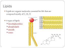 Maybe you would like to learn more about one of these? What Is Better For Your Health Butter Margarine Olive Oil Or Crisco Lg Understand The Structure And Function Of Different Types Of Lipids Ppt Download