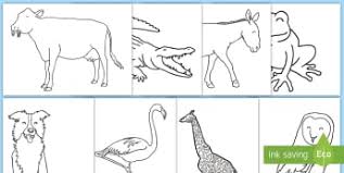 Jungle coloring sheets preschool page image click rain forest animals coloring pages free crafts coloring activities free kids coloring pictures and books. Colouring Pages Of Tropical Rainforest Animals For Kids