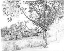 Einen Baum Baume Wald Zeichnen Anleitung Diane Wright Wie Malt Man De Zeichnen Lernen Malen Lernen Online Malkurs Mit Acryl Und Olfarbe Malenwie Malt Man De Zeichnen Lernen Malen Lernen Online Malkurs Mit Acryl Und Olfarbe Malen