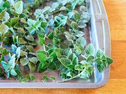 How To Dry Oregano And Other Herbs Fast Use The Oven Garden Betty