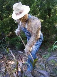 Last Month I Attended The Ahs American Horticulture Society Children And Youth Symposium In Lansing Michig Scarecrows For Garden Scarecrow Gardening For Kids