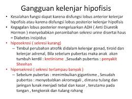 Kelenjar pituitari(hipofisis) berukuran kurang lebih 1 cm dengan berat 500 mg. Sistim Endokrin Nutrisi Dan Metabolik Ppt Download