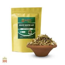 Image result for Synaptolepis alternifolia