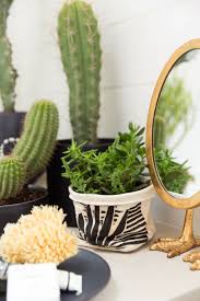 Good health is defined as not mushy, still firm, not super brown or. How To Create An Indoor Garden Honestly Wtf Indoor Garden Plants Plant Decor Indoor