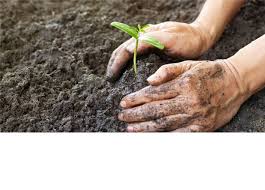 May 26, 2021 · la tercera sortida del dia serà la de l'express a partir de les vuit hores i trenta minuts del matí de diumenge. Dia Do Agricultor E Da Agricultora Noticias Prefeitura Municipal De Sao Jose Do Norte