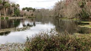 124 reviews, 35 photos, & 44 tips from fellow rvers. Silver Springs State Park Florida John Marucci On The Road