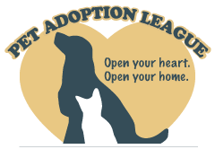 Maybe you would like to learn more about one of these? Pet Adoption League Adopt A Pet Yukon Pa Animal Shelter Cats Dogs