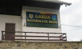 Deşi garda de mediu a amendat o firmă care are un depozit în apropiere, veterinarii au spus că nu pot preciza cauza decesului animalelor. È™eful GÄƒrzii De Mediu VorbeÈ™te Despre O AmeninÈ›are La Adresa SiguranÈ›ei NaÈ›ionale Nu ExistÄƒ Zi SÄƒ Nu Se Incerce PÄƒtrunderea In È›arÄƒ Stiri Pe Surse Cele Mai Noi Stiri