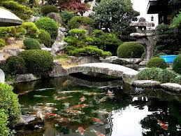 Koifarm Profile Pictures Facebook Japanese Garden Koi Pond Design Japan Garden