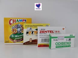 Cacing yang berbeza, ubat cacing yang berbeza yang mesti digunakan. Kepentingan Pengambilan Ubat Cacing