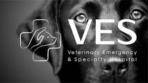 Maybe you would like to learn more about one of these? Vet Emergency Specialty Hospital Singapore Home Facebook