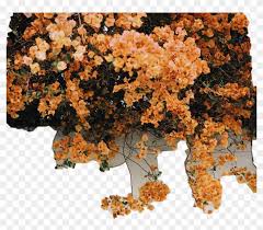 Related searches:flower watercolor flowers flower vector pink flower watercolor flower flower bouquet flower pattern flower borders flower border. Wall Pared Flores Enredadera Yellow Flowers Nature Aesthetic Wallpapers Floral Hd Png Download 1024x847 4074029 Pngfind