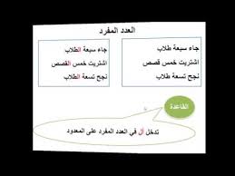 Sailiyatube درس تعريف العدد Youtube