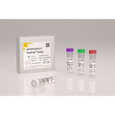 Réaction de polymérisation en chaîne en temps réel. Rt Pcr Screening Gen Test Kit Fur Mthfr 677c T Mutationen Im Methylentetrahydrofolate Reduktase Gen