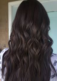 Chocolate Brown Mahogany Coffee Brown Hair Brunette Hair Color Brown Hair Shades