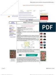 Fabrication Fromage Fabrication Fromage Filet De Truite Bavette De Boeuf