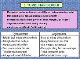 Perbedaan Gymnospermae Dan Angiospermae Beserta Cirinya Buah Persamaan