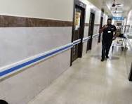PVC Hospital Wall Guard, Size: 200MM