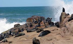 Paraguay's recent history has been characterized by turbulence and authoritarian rule. Uruguay Paraguay Reise Mit Buenos Aires Iguacu Ruppertbrasil