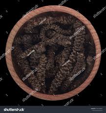 Image result for Piper capense