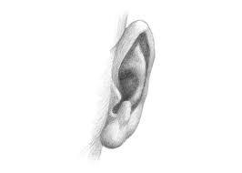 The first step is to draw the contours. How To Draw Ear Step By Step For Kids Beginners