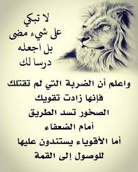 81 mentions j aime 1 commentaires إلى النور 1quran k sur instagram صباح الأمل والقوة funny arabic quotes wisdom quotes life cool words