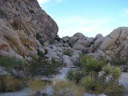 Indian cove is located 13 miles east of joshua tree village and 10 miles west of twentynine palms on the north side of the wonderland of rocks. Indian Cove Campground Bewertungen Fotos Joshua Tree Nationalpark Kalifornien Tripadvisor