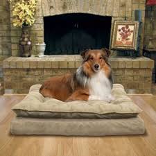 We did not find results for: Kirkland Signature Pillow Top Orthopedic Pet Napper In Tan Orthopedic Pet Bed Dog Pet Beds Orthopedic Dog Bed