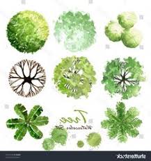 Plants top view stock photos 17 ideas tree plan png architecture. 15 Watercolor Plants Ideas Tree Plan Trees Top View Landscape Design