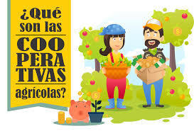 / info341 com periodismo sustentable se inauguraron los cursos de capacitacion en cooperativa. Historia De Las Cooperativas Agricola Y Ganadera De San Mateo De Gallego Zaragoza