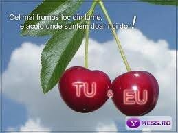 Jun 16, 2021 · eram doar noi doi, eram lângă echipele noastre. Vasilache Cornelia Elya Vass Twitter