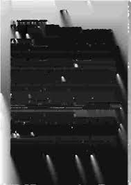 Image result for Grewia conocarpoides