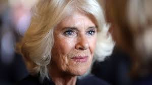 Queen Consort“ Camilla: Eine Krone als diplomatischer Schachzug