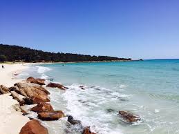 There are some great hiking trails around the lake as well mostly … The 10 Best Things To Do Near Eagle Bay Brewery Dunsborough Tripadvisor