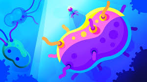 Kurzgesagt On Twitter You Can Get Wallpapers Via Our Patreon 207.34kb wallpaperflare is an open platform for users to share their favorite wallpapers. you can get wallpapers via our patreon